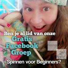 Load image into Gallery viewer, Spinnen voor Beginners e Course
